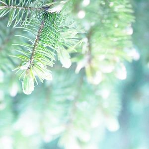 Meet your Posher, Lisi